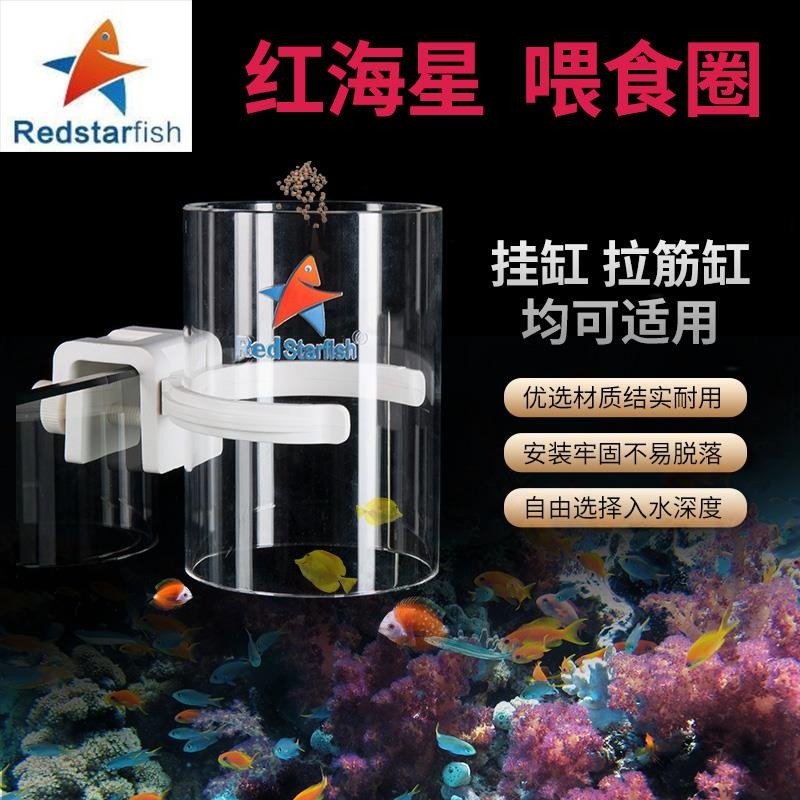 红海星喂食圈鱼缸投喂器防止饲料漂浮到溢流盒开放式拉筋式