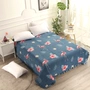 Pha lê nhung trải giường đơn mảnh chăn quilted quilted chăn AB bề mặt mùa đông chăn chăn ga nệm 1m8