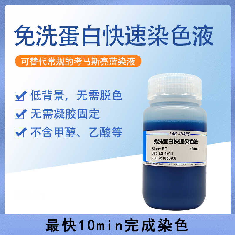 LABSHARE 免洗蛋白快速染色液无需凝胶固定和脱色快捷高灵敏度