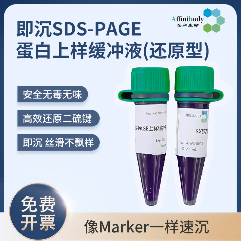 亲和生命 5X即沉SDS-PAGE上样缓冲液还原型loading高效无毒不飘样