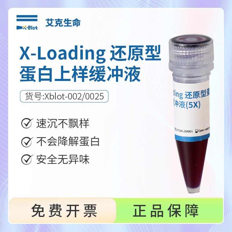 艾克生命 X-Loading还原型蛋白上样缓冲液(5X)速沉常温无异味