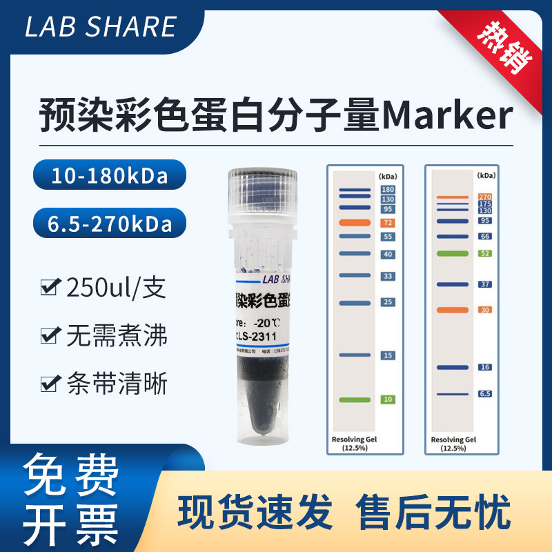 预染彩色蛋白Marker  10-180KDa 、6.5-270KDa Labshare250ul/支