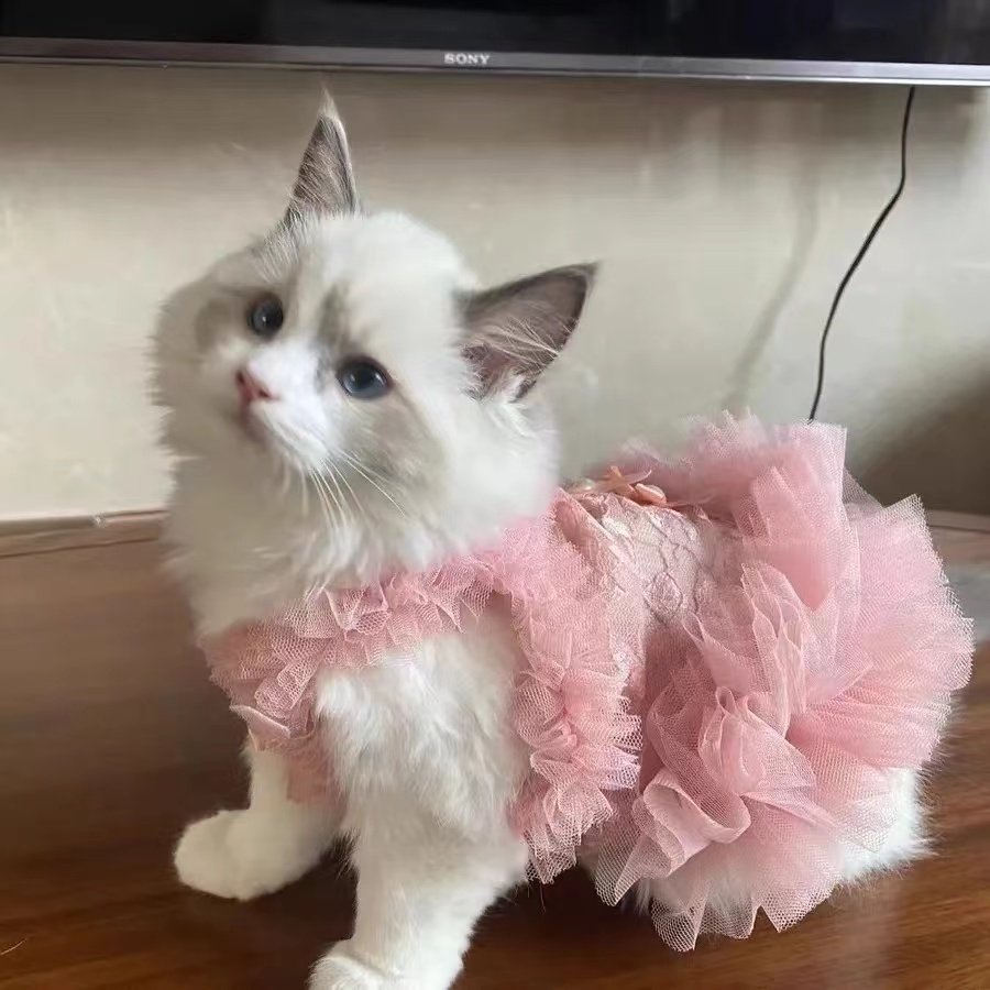 white christmas dresses Layered Lace Dress Cat Clothes