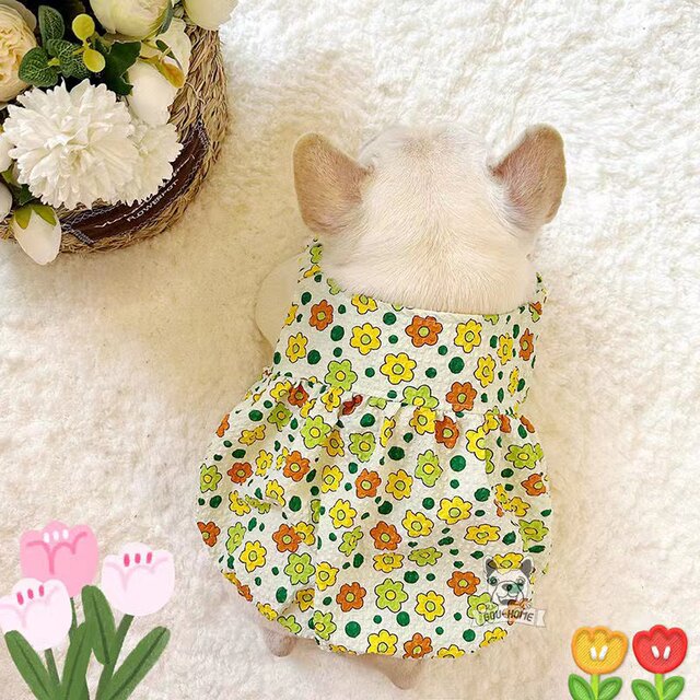 French Bulldog Summer Thin Small Skirt Dog Vest Pumpkin Skirt Short Body Bulldog Fat Dog Pug