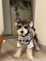 Собачья одежда маленькая собака лето тонкая одежда для кошек плюшка Померанский шнаузер Интернет знаменитость одежда собаки лето