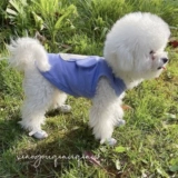 Собачья одежда Summer Thin fa dou xuenari, чем медведь Тедди Шиба Ину Уэст Вест Верховные животные Жилеты