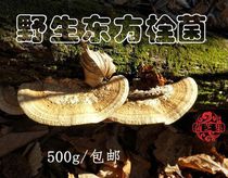 Wild Trametes orientalis Yunzhi Oriental Trametes Trametes ash 500g