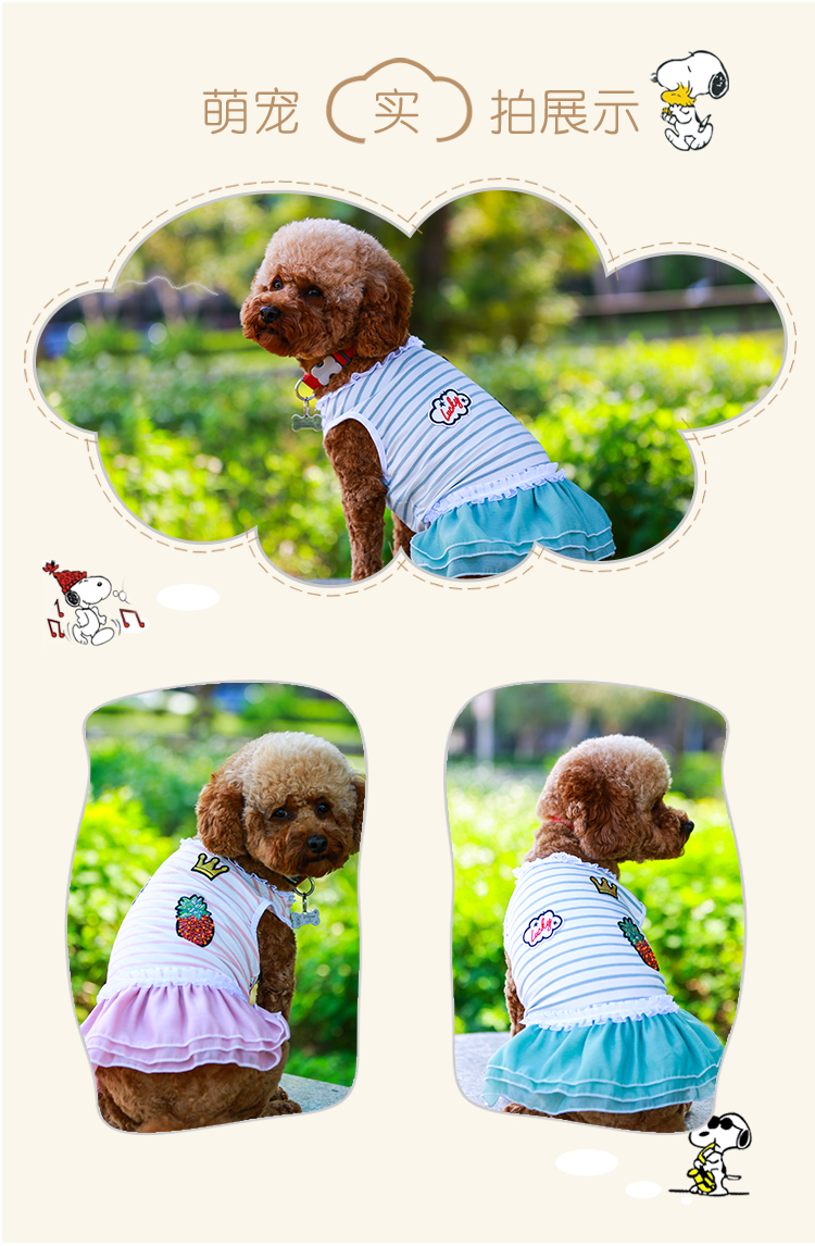 Teddy váy chó quần áo hơn Xiong Bomei quần áo thú cưng sọc lưới công chúa váy quần áo mùa hè - Quần áo & phụ kiện thú cưng 	áo dành cho mèo con	