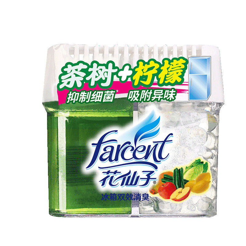 Flower fairy refrigerator double - working 1 box