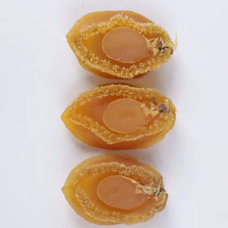 Dalian light dry small abalone dried goods thick meat delicious 250g30 or so