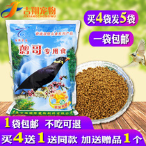 Hong Kongs top 100 bird food special feed