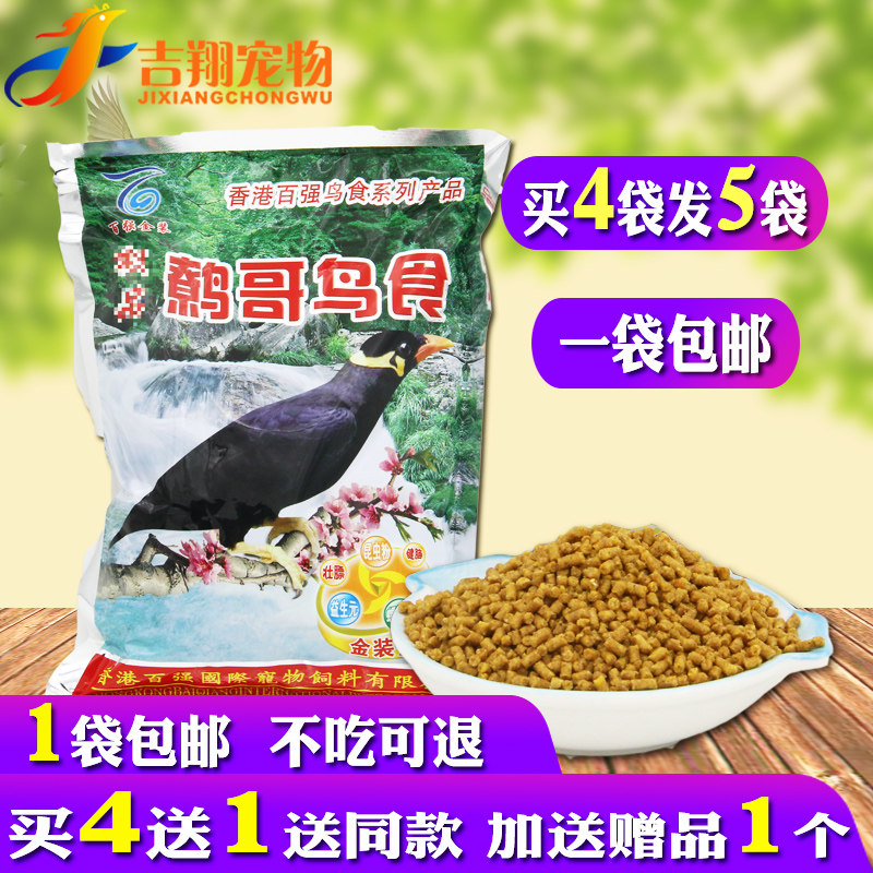 Hong Kong Hundred Strong Gold Dress Winger Bird Food Feed Universal Bird Food 8 Gg Exclusive Little Bird Food Bird Feed Nutrition