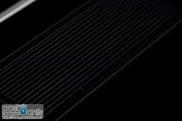 IMG_8679.jpg IMG_8679.jpg