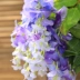 Mô phỏng Hoa Wisteria Hoa giả Hoa violet Trần Hoa Vine Trong nhà Trang trí tiệc cưới Mây nhựa Hoa thùng Cây nho - Hoa nhân tạo / Cây / Trái cây lan giả hạc rừng Hoa nhân tạo / Cây / Trái cây