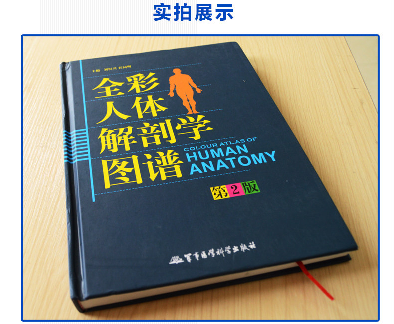 Full-Carnivals Anatomical Atlas of the human anatomy Color atlas No. 2 Human Anatomy Color Atlas Human Anatomical Color Atlas Anatomical Color Atlas of Anatomy Medical Health Book Military Medicine