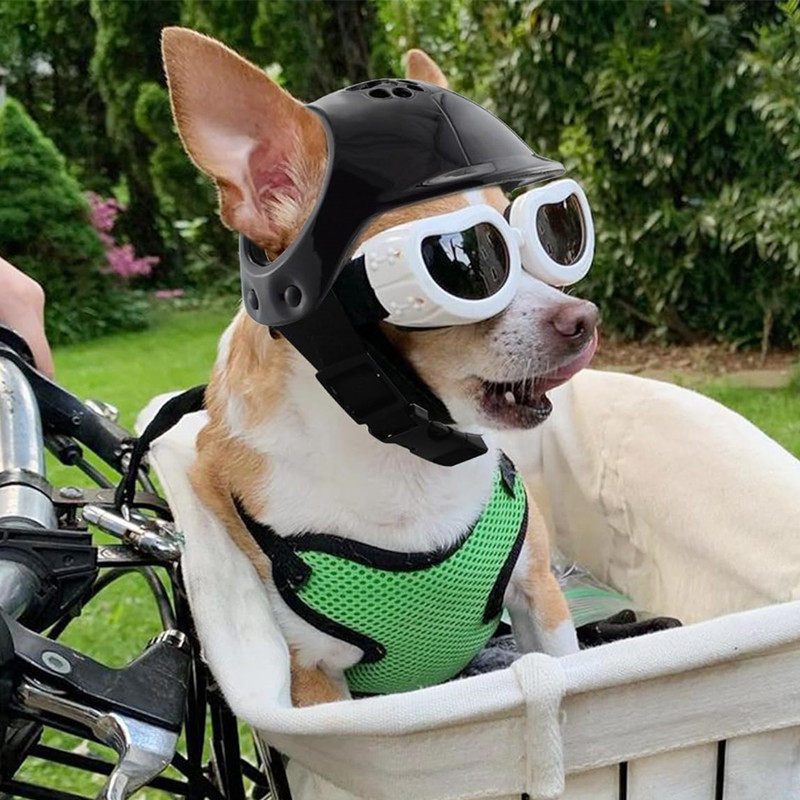 corgi motorcycle helmet Ski Cover Helps Be Seen So i heard you like