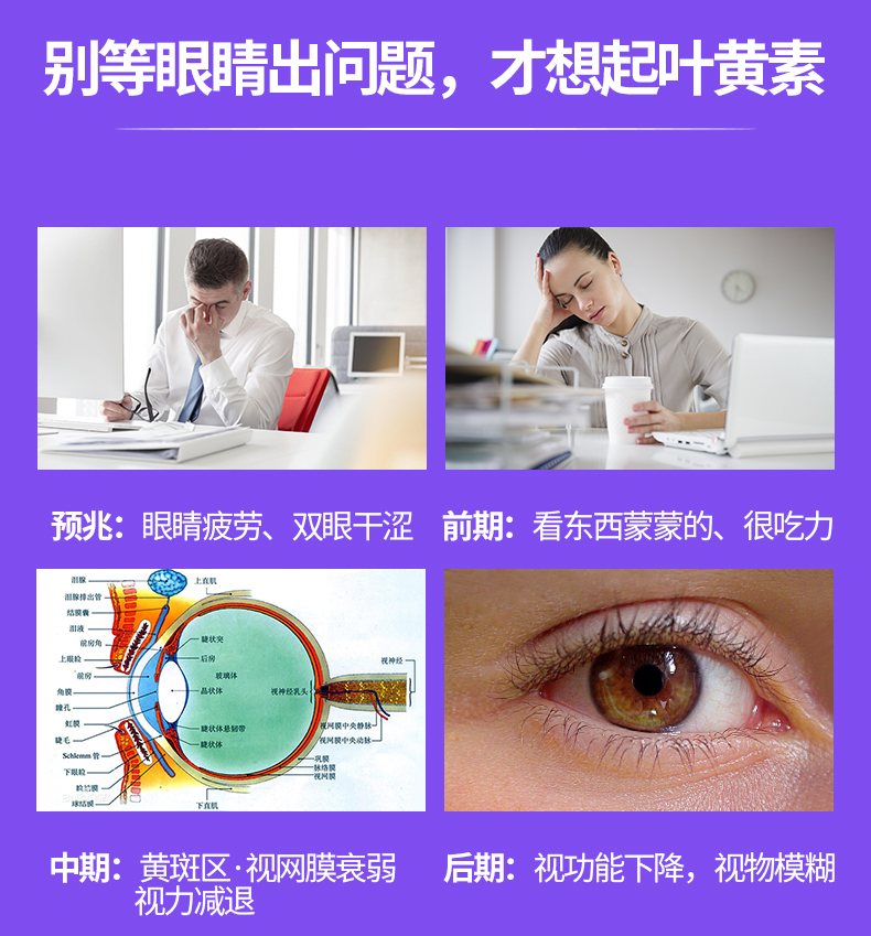 【亨博士】蓝莓叶黄素护眼咀嚼片60片