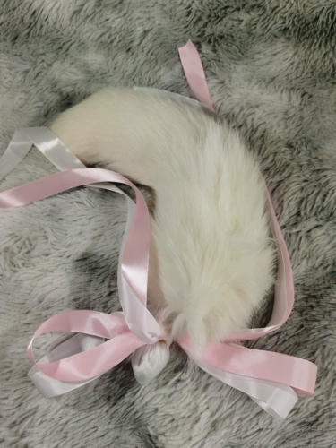 Мастер Fox Fox Mao 40 -сантиметра Cos Cos Role -Playing Kitten