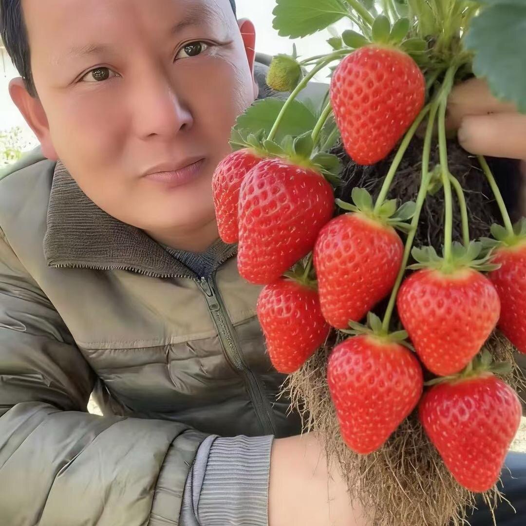万和农业