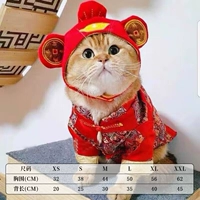 Шляпа+одежда