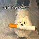 Dog plush toy simulated cigarette self-pleasure to relieve boredom, teeth grinding and bite-resistant stick puppy golden retriever small, medium and large dog toy