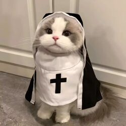 Pet Halloween Costume Nun Outfit Funny Cosplay Photo Props Hoodie British Shorthair Dog Clothes Gothic Style