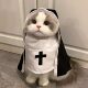 Pet Halloween decoration women's clothing funny cos photo props hoodie British short dog clothes Gothic style