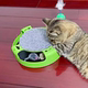 Cat toys, mouse traps, cat turntables, self-entertainment and boredom relief, cat toys, kitten toys, cat toys, cat sticks, cat supplies
