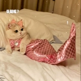 Одежда для кошек, украшения в виде русалки, рыбий хвост, забавный реквизит для фотографий, цельный костюм для домашних животных, в том же стиле, что и Douyin.