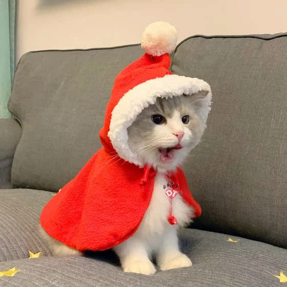 Cat Christmas Headdress Cute Little Red Riding Hood Festive Headband