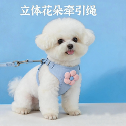 Small Dog Leash Vest-Style Walking Rope Teddy Bichon Small Dog Harness Outdoor Dog Chain Pet