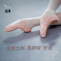 Beiwu elastic fabric dance shoes for women soft soles childrens practice adult body art examination instep ballet cat claw shoes
