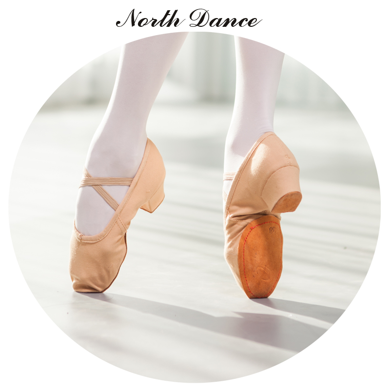Chaussons de danse - Ref 3447732 Image 18