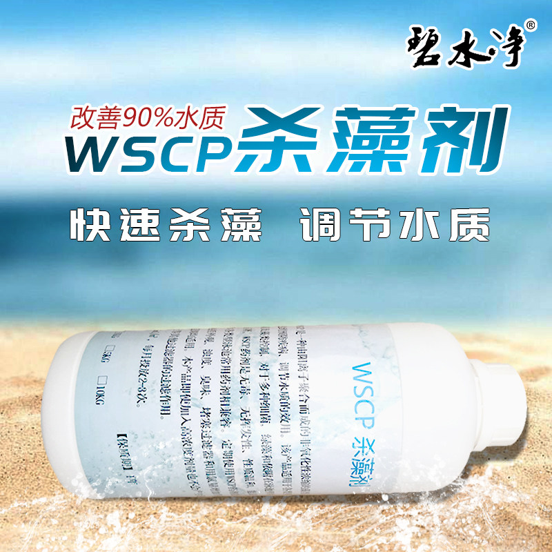 Clear water net WSCP algicide Polyquaternary ammonium salt Swimming pool algicide Algicide Moss disinfection fungicide