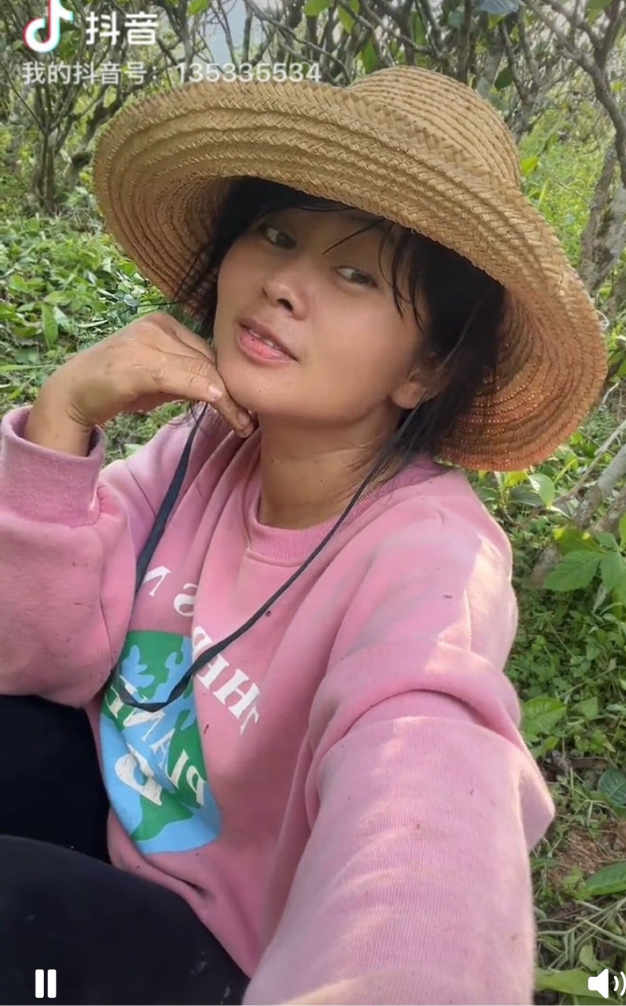 云南镇康茶农小茶铺