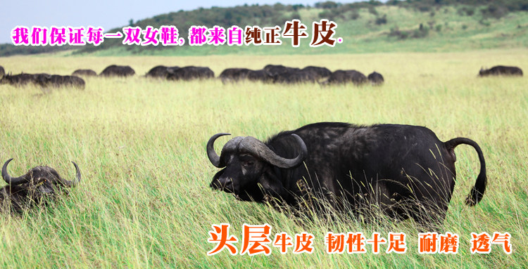 Chaussures de printemps Angleterre - Ref 918764 Image 22