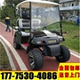 Ao Sen 4 xe điện mới off-road xe tuần tra ngắm cảnh xe buýt - Xe đạp điện xe đạp điện giá rẻ