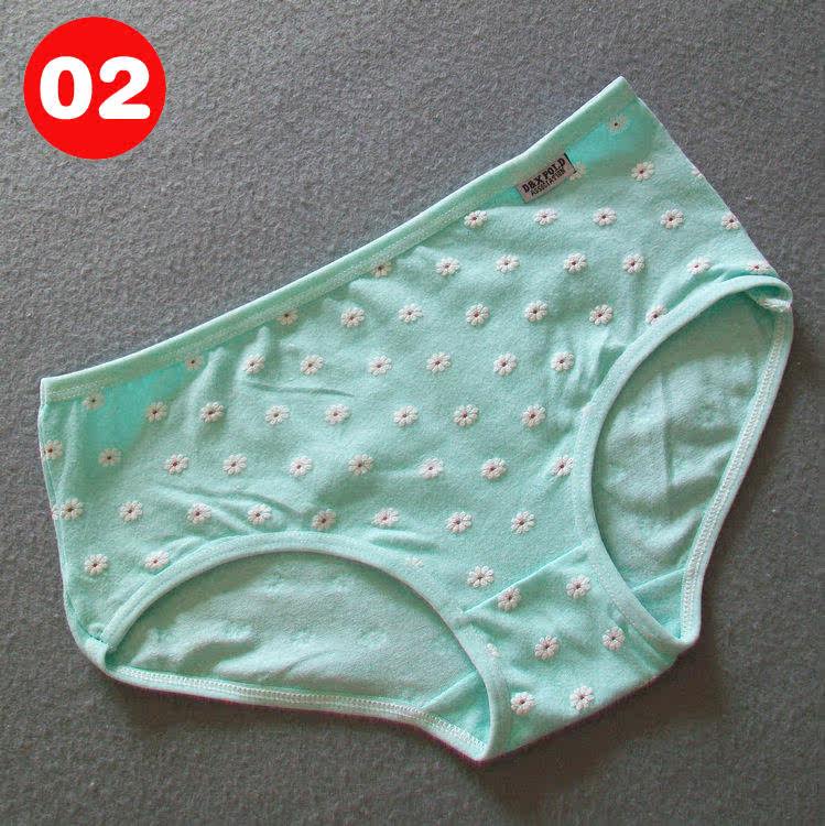 Slip jeunesse W003 en coton - Ref 645673 Image 12