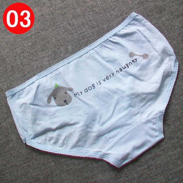 Slip jeunesse W009 en coton - Ref 646185 Image 11