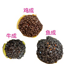 New tasting Canada dog food beef chicken and fish adult dog food universal 500g