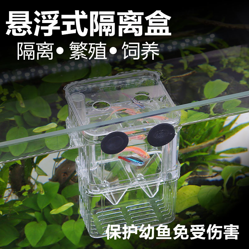 Sensen juvenile hatching box peacock breeding box of fish cylinder isolated fish seedlings spawning tropical fish acrylic