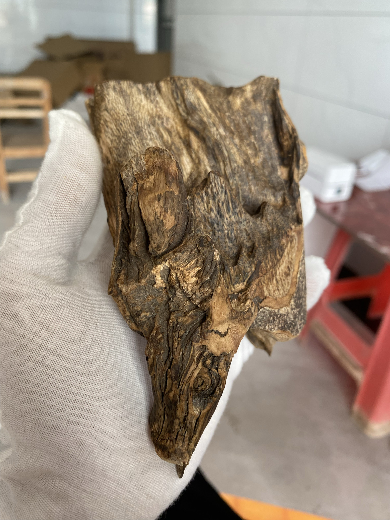 山上挖回的野生奇楠树头,带树根皮油!香味特别,生闻甜香太迷人-香薰粉-淘宝好物网
