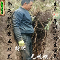 Gansu pure natural wild Huangqi film Super old root to the whole tree please leave a message 500 grams free powder