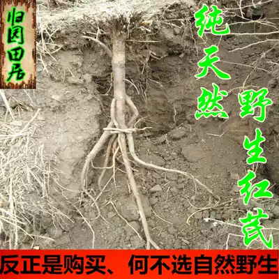 Minxian Chinese herbal medicine wild red red red Qi tablets can be powder free of charge 500 grams of years of long-term whole tree message