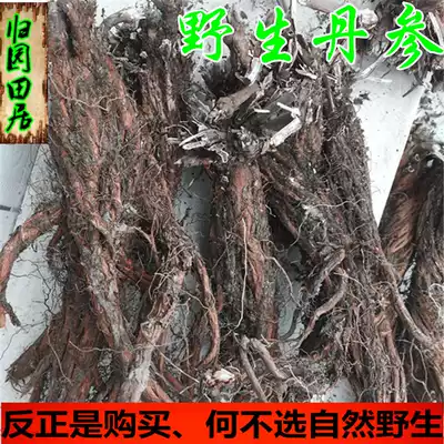 Gansu Minxian Chinese herbal medicine Wild salvia whole salvia can be sliced and pulverized for free