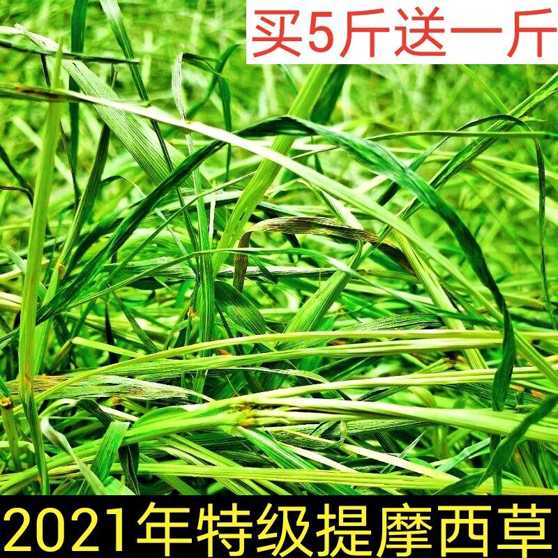 Buy 5 delivery 1) 21 years of special class TiMoses grass 500g Rabbit rabbit dry grass dragon cat Food Dutch pig feed grain grass