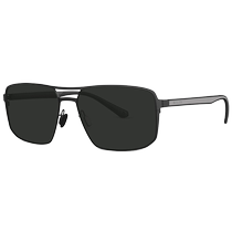 Tyrannosaurus glasses 2024 new high-definition polarized pilot double beam sunglasses driving driving sunglasses for men BL8116