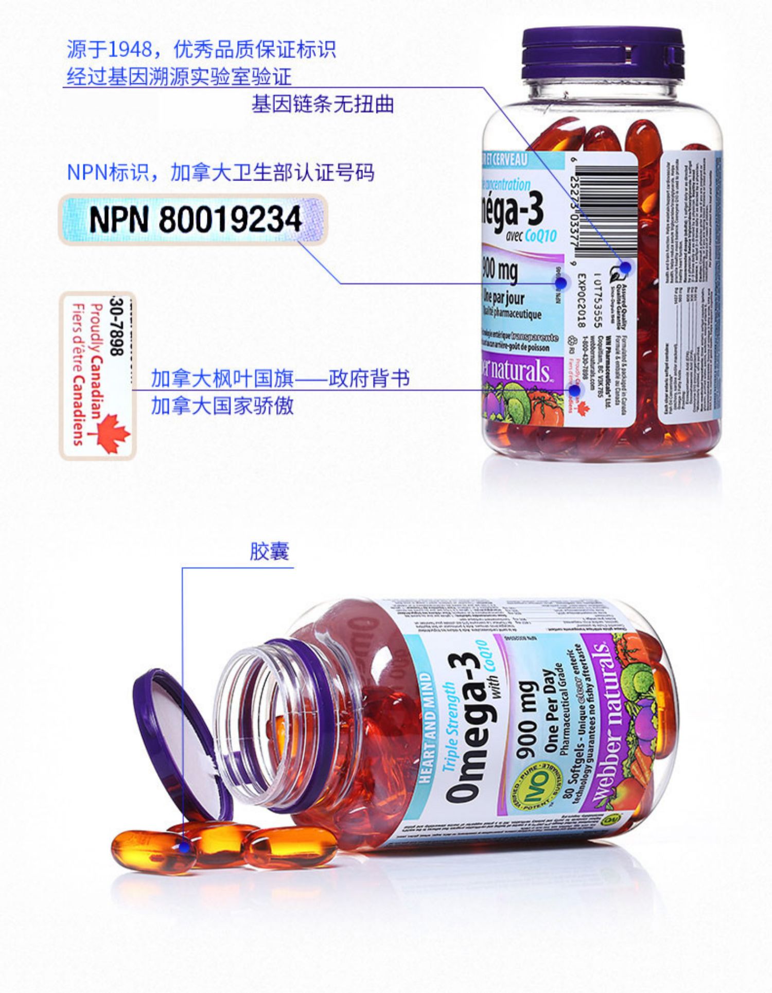 WebberNaturals进口浓缩Omega-3深海鱼油