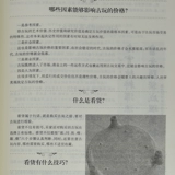 Китайские руководящие принципы антиквариата - это легко понять руководство по идентификации сбора антиквариата фарфора, бронза, живопись, живопись, живописи и живописи, четыре сокровища, печати Знаменитая каменная коллекция - это своего рода культурная антикварная книга книга антикварной книги