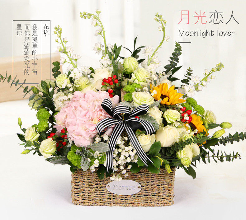 月光恋人 鲜花 花之乐鲜花速递 花之乐 花之乐鲜花速递